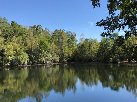 Autumn Lake