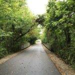 Monon trail